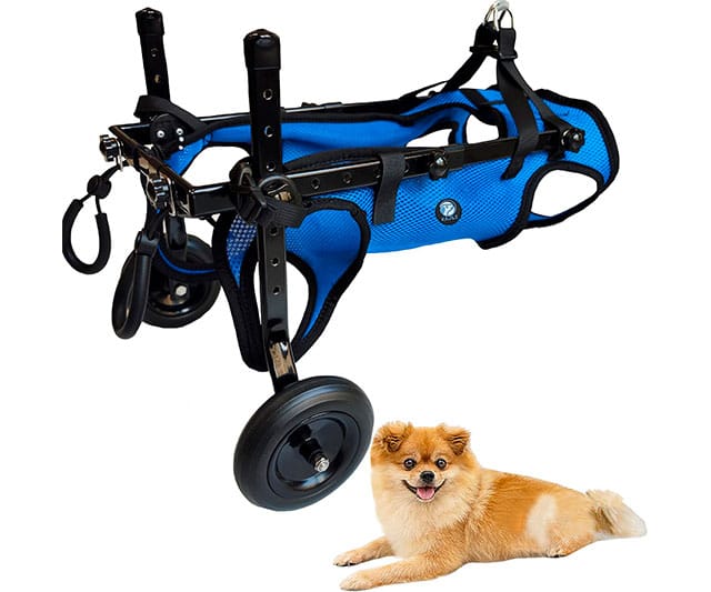 silla-ruedas-perro-kajile KAJILE Silla de Ruedas Plegable para Perros Pequeños